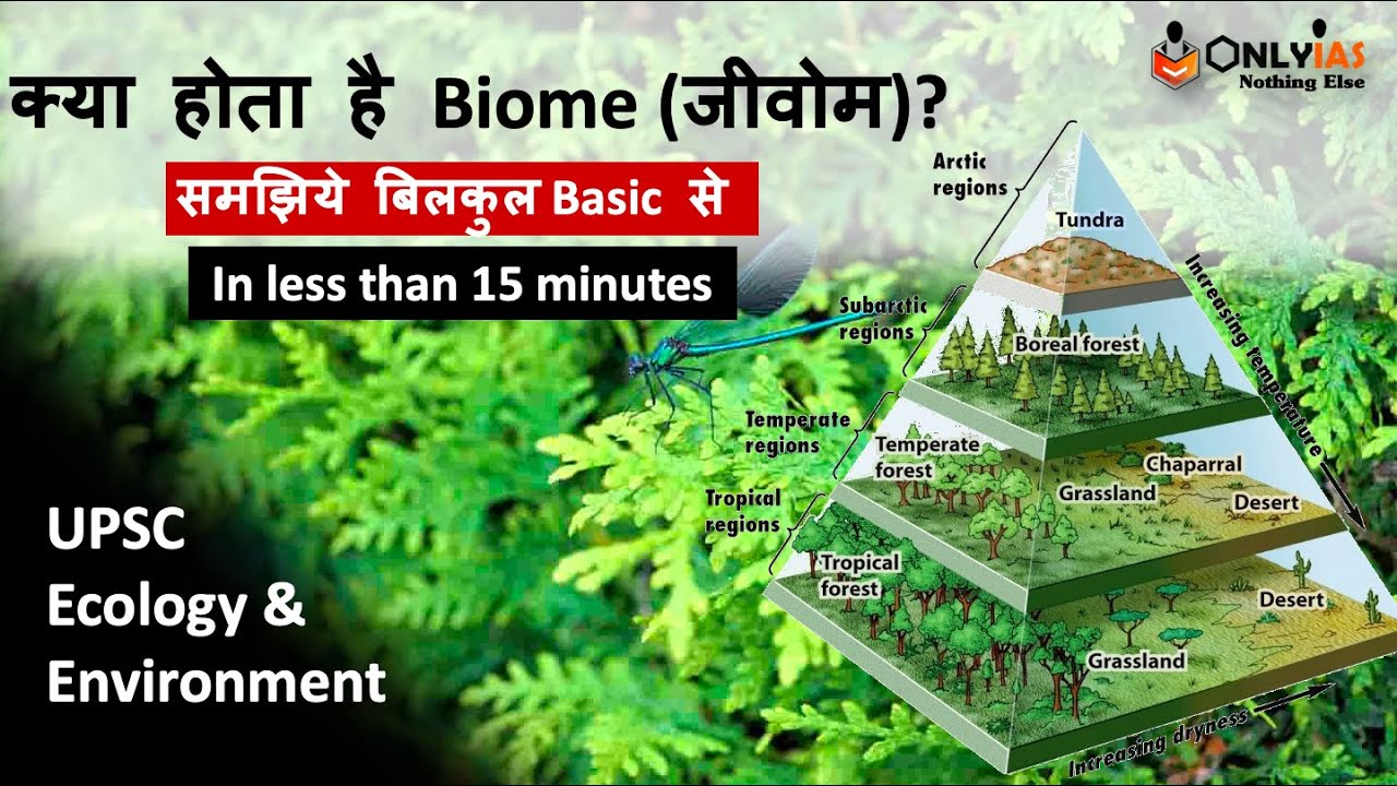 Biome - From The Very Basics | Environment & Ecology | UPSC 2022-23 ...