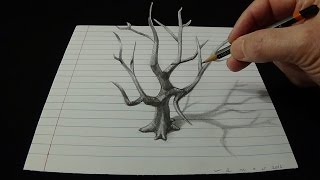 Art 3d Drawing - How To Draw An Old Tree In 3d With Pencil