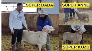 SÜPER ANNENİN BABANIN KUZUSU (Fransızlar Bu Kandan İstiyor)