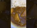 今日の昼ごはん　カレーライス　はなまるうどん　飯テロ