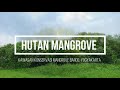 Kawasan Mangrove Terbesar di Dunia ada di Indonesia