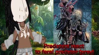 Predators react to feral predator (prey)