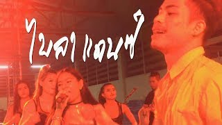 Baila (ไบลา) - Willy William \u0026 Lylloo cover by Samurai band