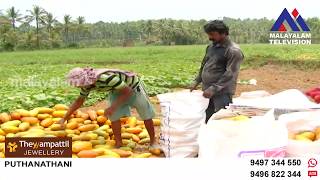 എന്തിനും ഏതിനും ചലഞ്ചുകള് പ്രഖ്യാപിക്കുന്ന മലയാളികള്ക്ക് പുത്തന് അനുഭവമായിരുന്നു വിഷുക്കണി ചലഞ്ച്.