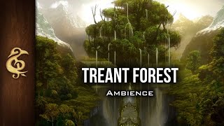 Treant Forest | Ancient, Roots, Fantasy RPG Ambience | 3 Hours