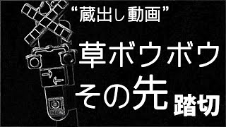 踏切ハンター（常総線／#16  後宿踏切）夏季は見えない草ボウボウ奥の第四種