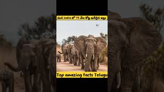 #india లో అతి ఖరీదైన ఇల్లు 15 వేల కోట్లు#short video# telugu facts#