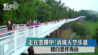 走在雲霧中！清境天空步道　踏白雲伴青山