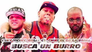 Ceky Viciny, Bulin 47, Chiki El De La Vaina - BUSCA UN BURRO (#tiktok ) #cekyviciny #bulin47