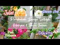 MAWAR ONLINE SETELAH ± 1TAHUN TANAM | Juliet, Polianta, Green Ice & Dolcetto