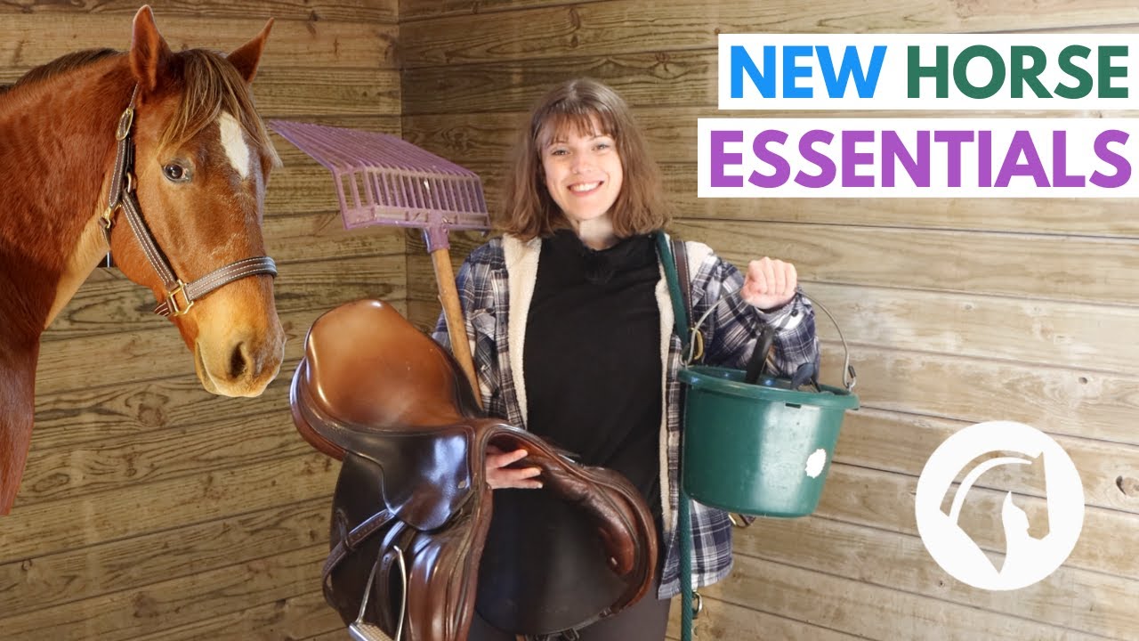 What To Buy For Your First Horse!