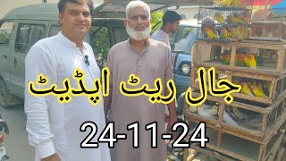 Birds Market Jaal Update 24-11-24 Sunday Video Latest Update Sohail Ahmed TV