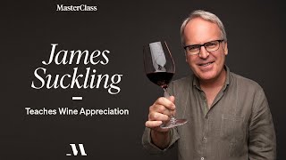 James Suckling Teaches Wine Appreciation | Official Trailer | MasterClass