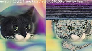 Pixel Selection Sorting visualization on a colorful cat img [320x303]