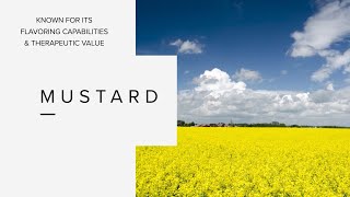 Mustard research - Diverse Field Crops Cluster