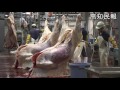 和牛の解体作業（高知県広域食肉センター）