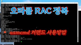 3  Oracle RAC ASM 스토리지 asmcmd