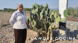 Cortando Nopales en las vías del tren - La Yoya Cocina