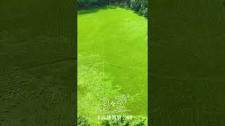 《空拍》高雄楠梓｜高雄都會公園 - Aerial Drone Video EP02