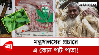 মন্ত্রণালয়ের প্রচারে এ কোন পাট পাতা! | National Jute Day | Protidiner Bangladesh