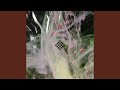 Chameleon (Extended Mix)