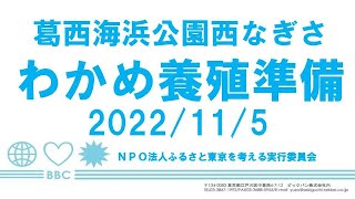 2022年11月5日　ワカメ養殖の準備