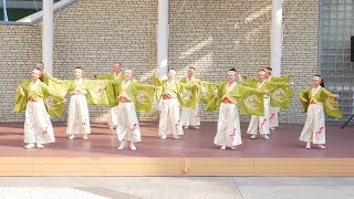 [4K] よさこいおおきに　いずみよさこい祭り 2018