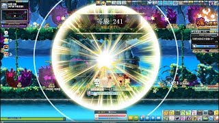 TMS新楓之谷 精靈遊俠241等升等紀念