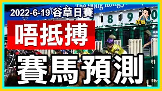 【中佬賽馬預測】6月19日田草日賽  專攻唔抵搏🔥死火馬賽馬預測！#賽馬直播 #賽馬貼士#冷馬#過關#爆冷