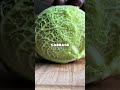 creamy leek u0026 cabbage wecookwevibeweeat plantbased christmas christmasrecipes recipe shorts