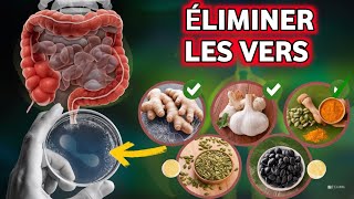 Conseils Santé : 14 Aliments Qui EXTERMINENT Les Vers \u0026 Éliminent Les Parasites !