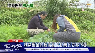 10年化學農藥減半做得到? 專家：需完善配套.植物醫師輔導│ 十點不一樣 20201228