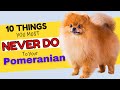 10 Things You Must Never Do to Your Pomeranian