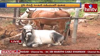 రాజేంద్రనగర్ లో మళ్లీ చిరుత కలకలం...| Leopard Hulchul in Rajendra Nagar | hmtv