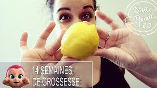 Bébé #13 - Évolution Grossesse à 14 semaines - J'ai mal au seins...