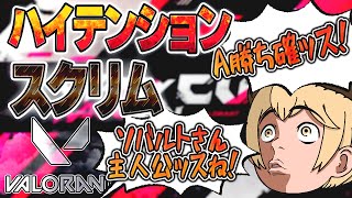 初心者がソーヴァを使って世界一騒がしいチームで活躍する。【CRカップ VALORANT】【neth/だるま/スタンミ/八雲べに/ソバルト】