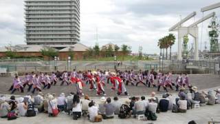 20 京炎そでふれ！Tacchi 　神戸よさこい2016 はねっこ広場会場