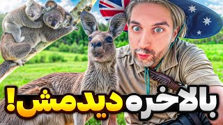 Australia 8 🇦🇺🦘!حیوونایی که فقط تو استرالیا میشه دید