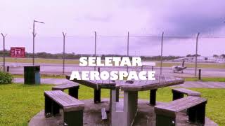 A Scenic Walk-Through At Seletar Aerospace Park \u0026 Hampstead Wetlands Park