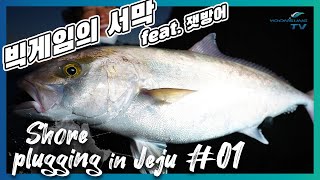 [빅게임낚시] 빅게임 쇼어플러깅 in 제주도 1편 feat.SHIMANO STAFF