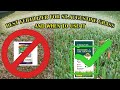 The Best Fertilizer For St Augustine Grass | When To Fertilize Your Lawn