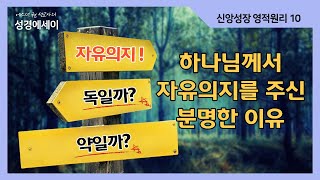 [에스더권 선교사의 성경에세이] 자유의지! 독일까? 약일까? 하나님께서 인간에게 자유의지를 주신 분명한 이유, 자유의지로 인생을 망친 사람들... I (신앙성장 영적원리 10)