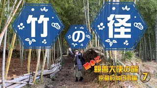 【竹竹竹】どこまでいっても竹！竹の径を行く！【勝手に親善大使の旅～京　都府向日市編⑦～】