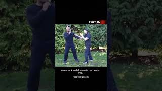 Wing Chun vs Mantis Kung Fu Techniques - Part 16 #shorts
