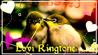 Boro loker beti lo Lamba chul Instrumental Ringtone 2020//New song Ringtone Mr ringtone channel