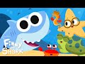 The More We Get Together | Kids Friendship Song | Finny The Shark