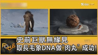 史前巨獸無緣見 取長毛象DNA做「肉丸」 成功!｜方念華｜FOCUS全球新聞 20230329@TVBSNEWS01