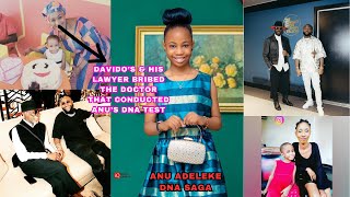 Anu Adeleke: No DNA Test Conducted Twice? Davido’s Lawyer Bobo Ajudua Accused of Misinformation.