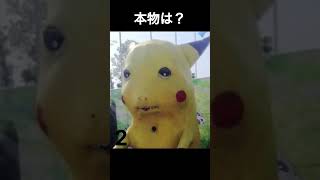 本物は何番ですか？ギリギリピカチュウを探してください #ヒカキンマニア #ピカチュウ #pokemon