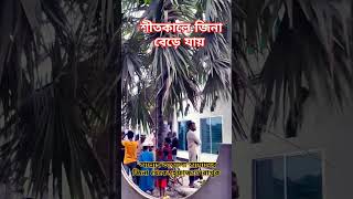 শীতকালে জিনা বেড়ে যায় #viralvideo